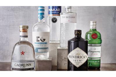 Ginul – o revenire cu gust de succes