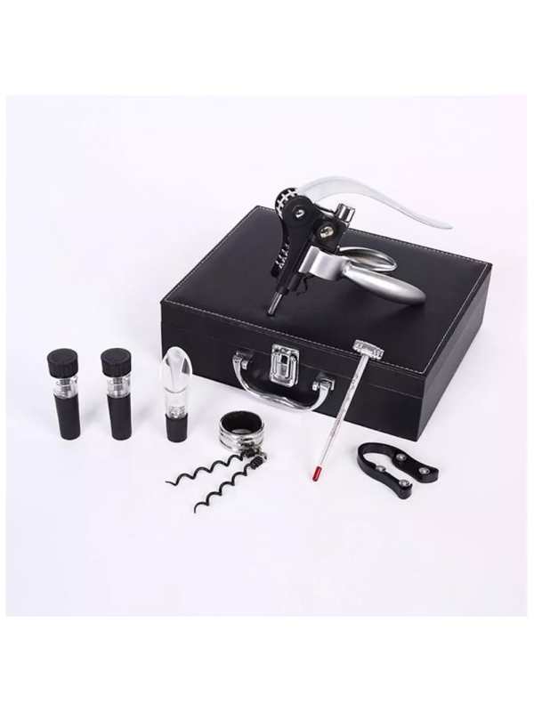 Caseta cu accesorii de vin Premium Silver Classic Design 9 piese