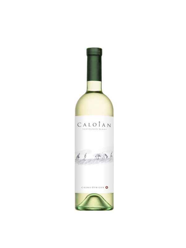 Crama Oprisor - Caloian Sauvignon Blanc 2025 - 0.75L, Alc: 13.5%
