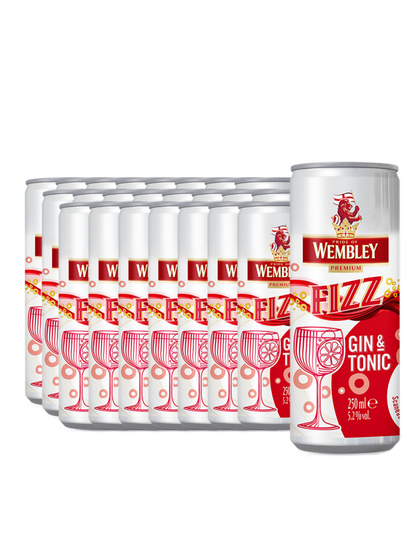 Wembley - Fizz Gin & Tonic - 24 buc. x 0.25L, Alc: 5.2% - doza