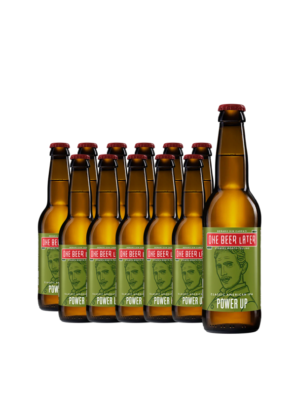 One Beer Later - Bere artizanala American Classic IPA 12 buc. x 0.33L, Alc: 5%