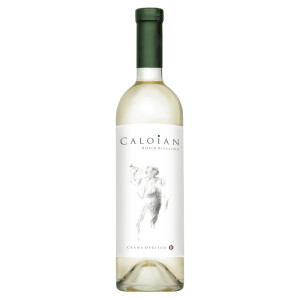 Crama Oprisor - Caloian Rhein Riesling 2025 - 0.75L, Alc: 13.4%