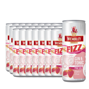Wembley - Fizz Gin & Tonic Strawberry Pink Gin - 24 buc. x 0.25L, Alc: 4.9% - doza