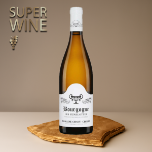 Domaine Chavy-Chouet - Bourgogne AOC Les Femelottes 2024 - 0.75L, Alc: 12.5%