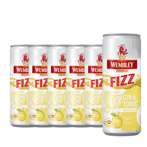 Wembley - Fizz Gin & Tonic Quince - 6 buc. x 0.25L, Alc: 4.9% - doza