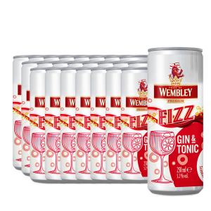 Wembley - Fizz Gin & Tonic - 24 buc. x 0.25L, Alc: 5.2% - doza