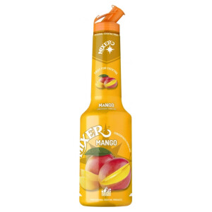 Mixer - Concentrat Piure Pulpa Mango - 1L