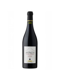 Avincis - Cuvee Andrei - Cabernet Sauvignon DOC 2020 - 0.75L, Alc: 14.5%