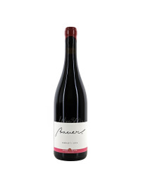 Bauer - Merlot 2022 - 0.75L, Alc: 14%