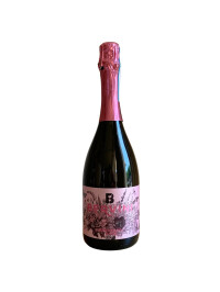 Vinopera - Prosecco DOC Bervini 1955 Rose Brut - 0.75L, Alc: 11%