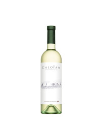 Crama Oprisor - Caloian Sauvignon Blanc 2024 - 0.75L, Alc: 13%