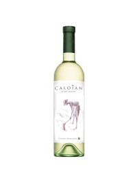 Crama Oprisor - Caloian Pinot Grigio 2023 - 0.75L, Alc: 13%