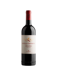 Mazzei - Castello Fonterutoli Chianti Classico Gran Selezione DOCG 2021 - 0.75L, Alc: 14%