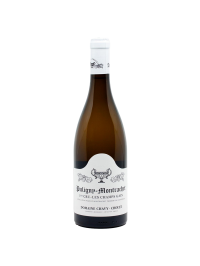 Domaine Chavy Chouet - Puligny Montrachet 1ER Cru Les Champs Gain - 2024 - 0.75L, Alc: 13%