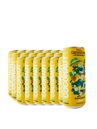 Young Coconut - Water & Pineapple Juice - 20 buc. x 0.32L - doza