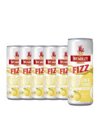 Wembley - Fizz Gin & Tonic Quince - 6 buc. x 0.25L, Alc: 4.9% - doza