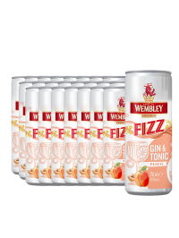 Wembley - Fizz Gin & Tonic Peach - 24 buc. x 0.25L, Alc: 4.9% - doza