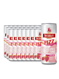 Wembley - Fizz Gin & Tonic Strawberry Pink Gin - 24 buc. x 0.25L, Alc: 4.9% - doza