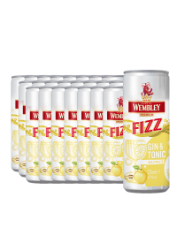Wembley - Fizz Gin & Tonic Quince - 24 buc. x 0.25L, Alc: 4.9% - doza