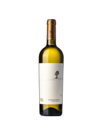 La Salina - Issa Sauvignon Blanc 2025 - 0.75L, Alc: 11.5%