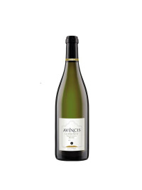 Avincis - Cuvee Petit - Sauvignon Blanc DOC 2023 - 0.75L, Alc: 13.5%