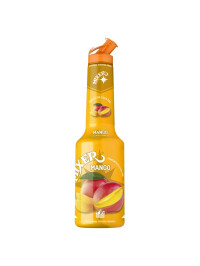 Mixer - Concentrat Piure Pulpa Mango - 1L
