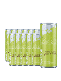 Red Bull - Energy Drink Iarna Fistic & Fructe de Padure - 12 buc. x 0.25L - doza
