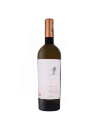 La Salina - Issa - Sauvignon Blanc Barrique Experience 2024 - 0.75L, Alc: 13.2%