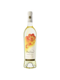 Budureasca - Bristena Tamaioasa Romaneasca Demidulce 2024 - 0.75L, Alc: 13%
