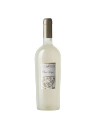 Tenuta Ulisse - Pinot Grigio Terre D'Abruzzo IGP 2025  - 0.75L, Alc: 13%