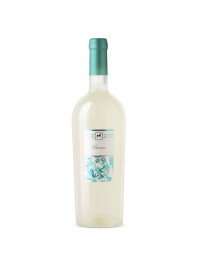 Tenuta Ulisse - Bianco 2025  - 0.75L, Alc: 13%