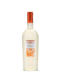 Tenuta Ulisse - Pecorino 2025  - 0.75L, Alc: 13%