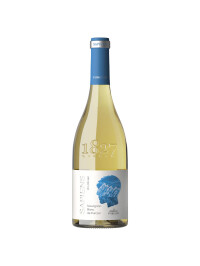 Purcari - Sapiens Sauvignon Blanc de Purcari 2023 - 0.75L, Alc: 12.5%