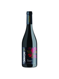 Cotnari - Selectie Feteasca Neagra Rosu DOC 2022 - 0.75L, Alc: 14%