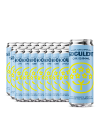 Soculent - Socata Original - 24 buc. x 0.33 - doza