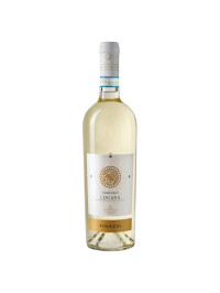 Tinazzi - Tenuta Valleselle - Tarcisio Lugana DOP, bianco 2024 - 0.75L, Alc: 12.5%