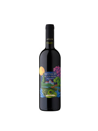 Avincis - Vila Dobrusa Negru de Dragasani & Merlot DOC 2023 - 0.75L, Alc: 14.5%