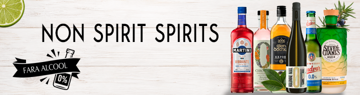 NON SPIRIT